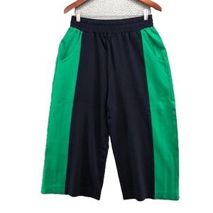 Meg Wide Leg Cropped Pants Womens Large Blue Green Stretch Comfort Modern Urban